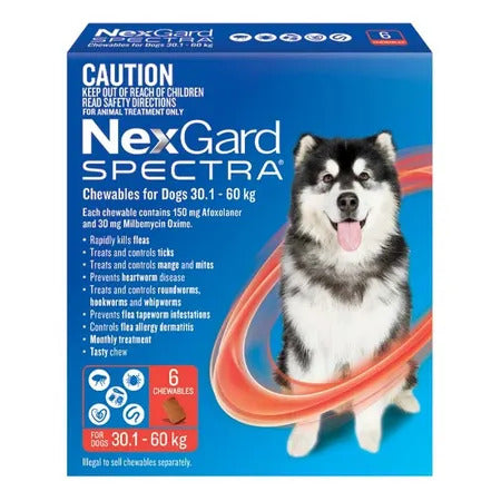 Nexgard Spectra - 30.1-60Kg (Red) - Pets Wonderland