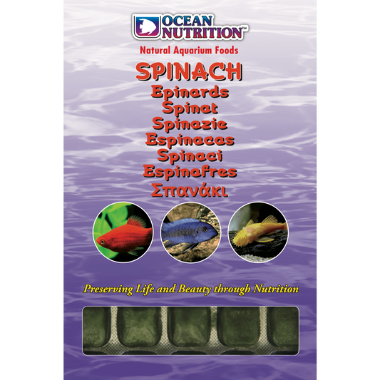 Ocean Nutrition - Frozen Spinach 100g - Pets Wonderland