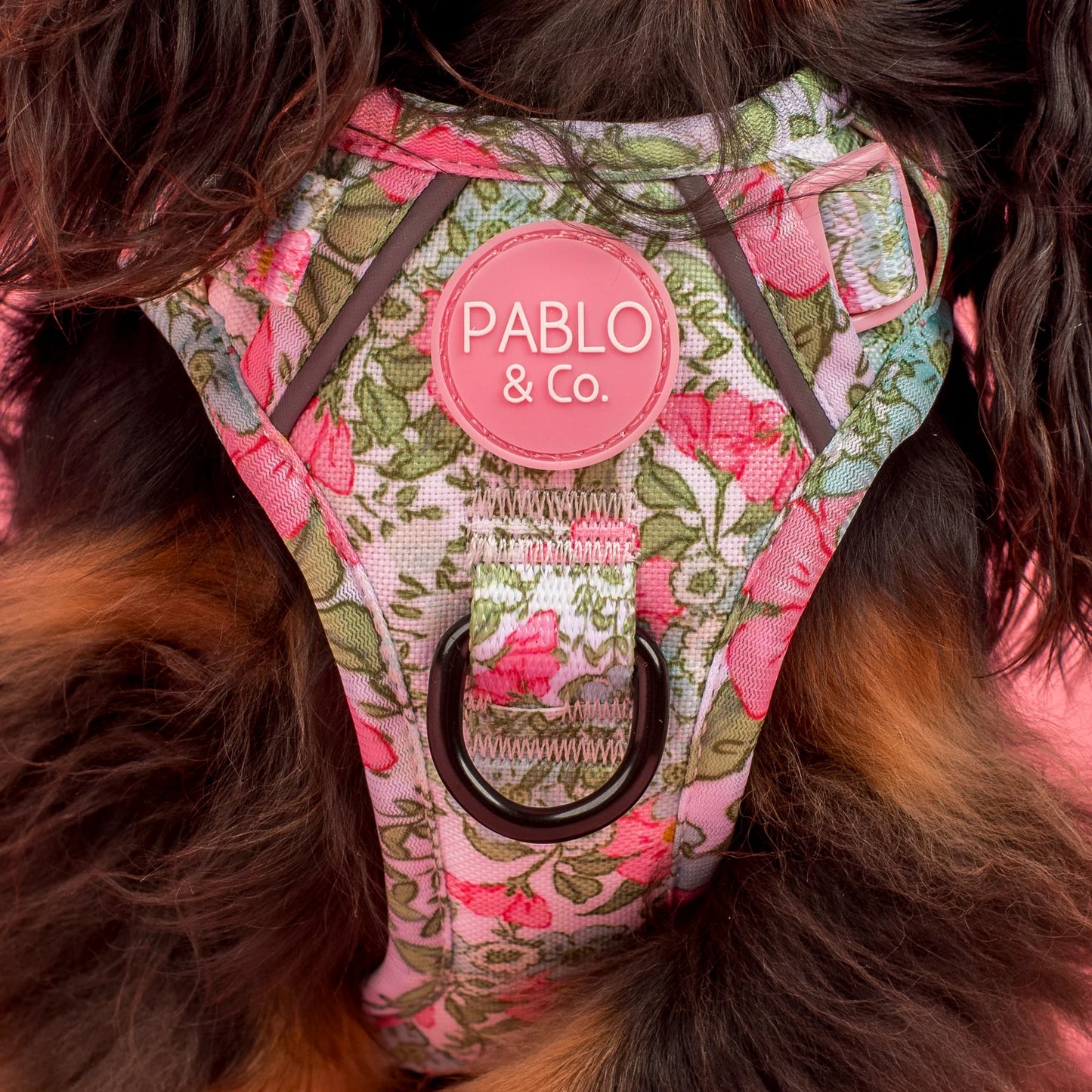 Pablo & Co - Adventure Harness "Flora & Fern" - Pets Wonderland
