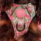Pablo & Co - Adventure Harness "Flora & Fern" - Pets Wonderland