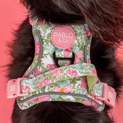 Pablo & Co - Adventure Harness "Flora & Fern" - Pets Wonderland