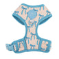 Pablo & Co. - Harness "Baby Blue Bows" - Pets Wonderland