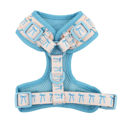 Pablo & Co. - Harness "Baby Blue Bows" - Pets Wonderland