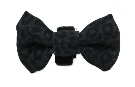 Pablo & Co. - Cat Bow Tie