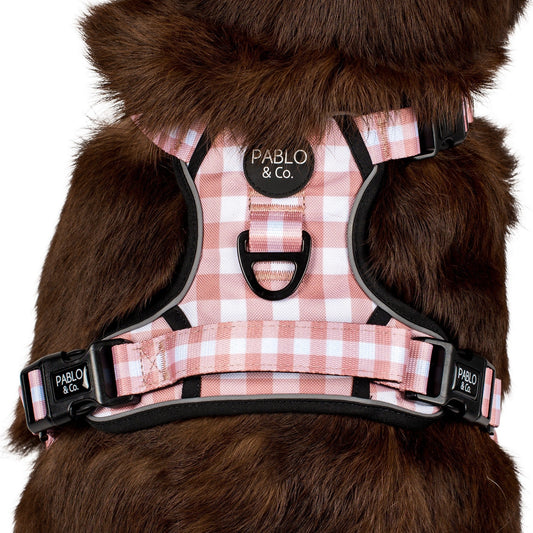 Pablo & Co. - Adventure Harness "Chocolate Gingham"