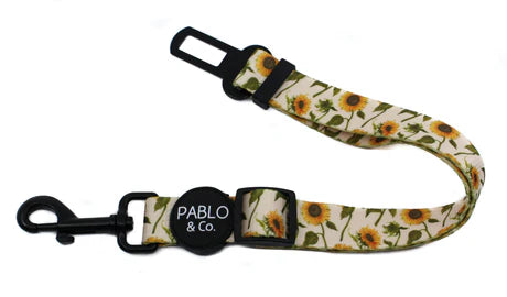 Pablo & Co. - Adjustable Car Restraint