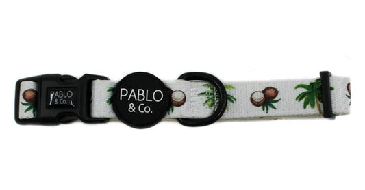 Pablo & Co. - Collar "Coconut Island"