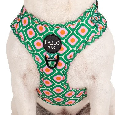 Pablo & Co. - Harness "70's Style"