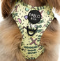 Pablo & Co. - Harness "Coolest Dog Ever"