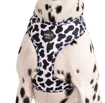 Pablo & Co. - Harness "Moo Moo"