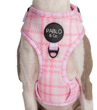 Pablo & Co. - Harness "Pink Houndstooth"