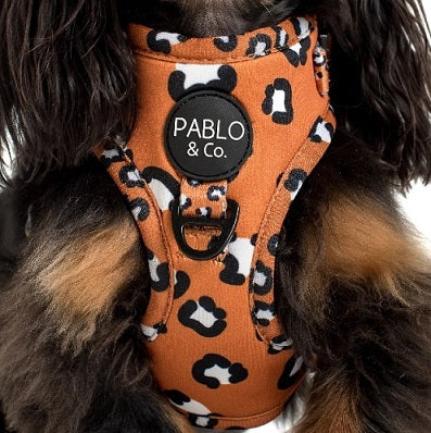 Pablo & Co. - Harness "That Leopard"