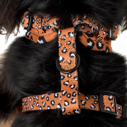 Pablo & Co. - Harness "That Leopard"