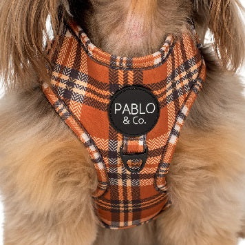 Pablo & Co. - Harness "Vintage Plaid"