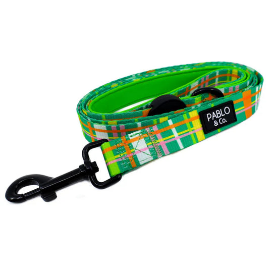 Pablo & Co. - Dog Lead "Groovy Grid" - Pets Wonderland