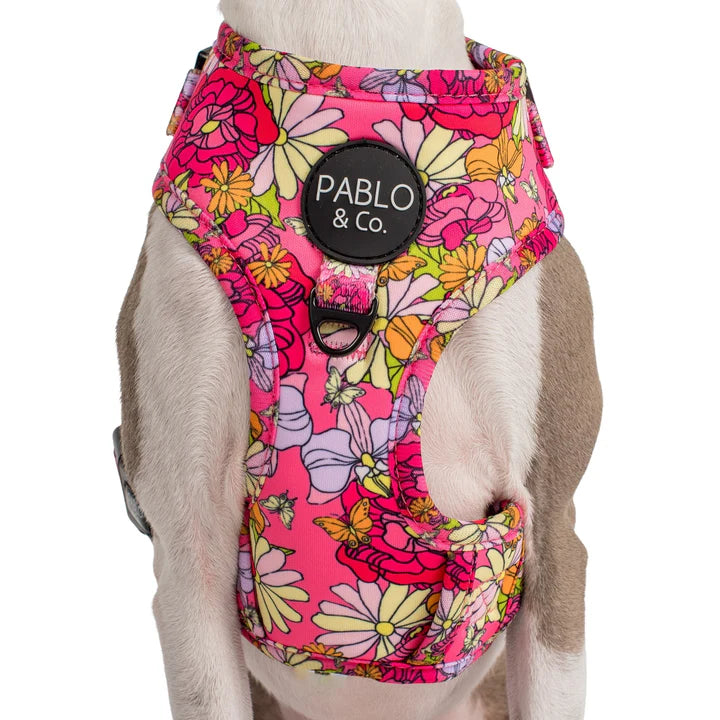 Pablo & Co. - Harness "In Bloom"