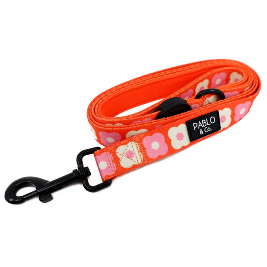 Pablo & Co. - Dog Lead "Pink Checkered Daisies" - Pets Wonderland