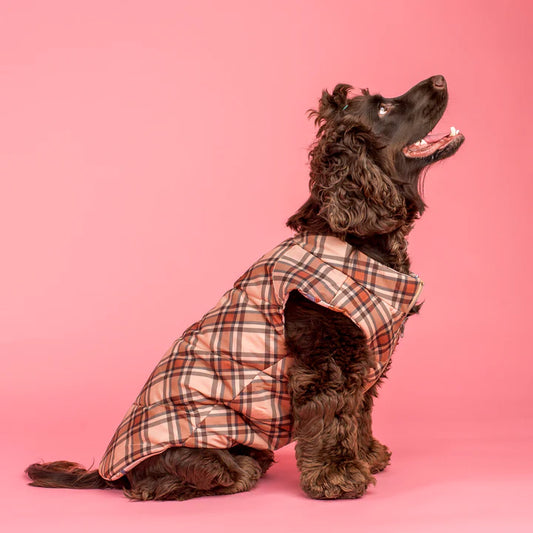 Pablo & Co - Reversible Puffer Vest Winter Pooches & Kensington