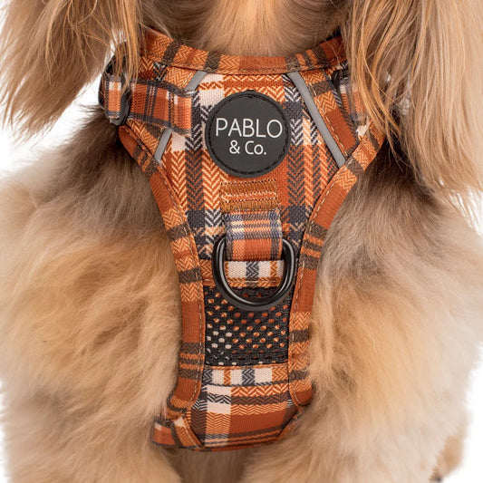 Pablo & Co - Adventure Harness "Vintage Plaid"