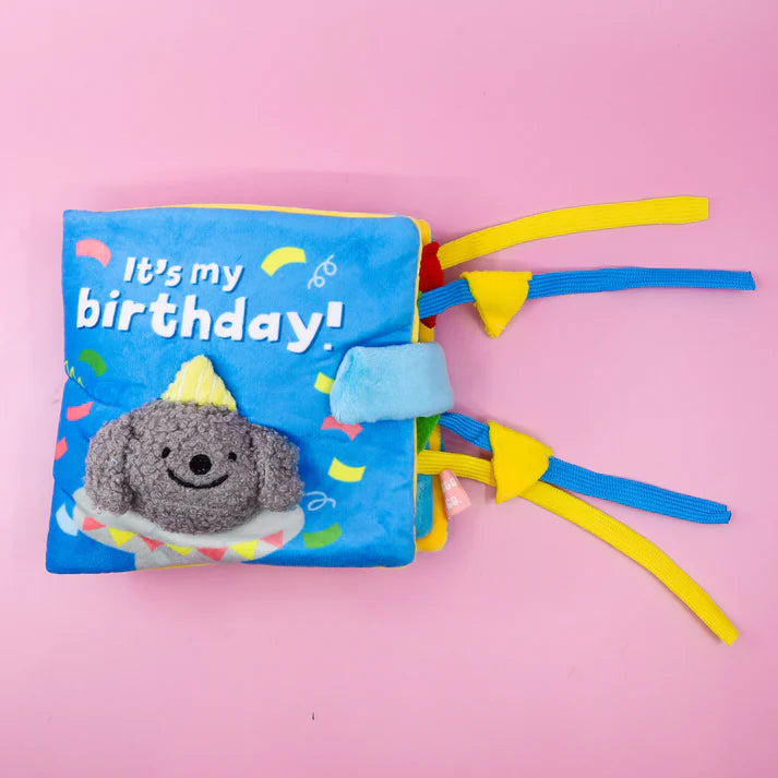 Pablo & Co. - "It's My Birthday" Work Book Toy