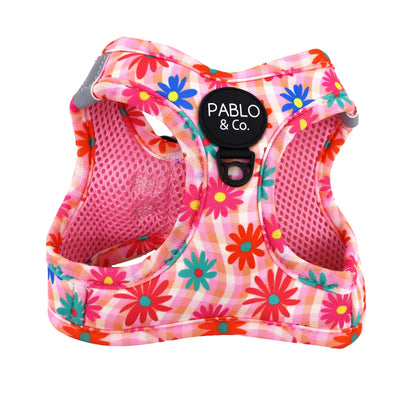 Pablo & Co. - Cat Harness - Pets Wonderland