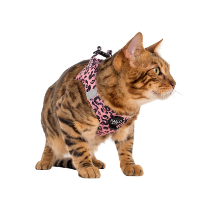 Pablo & Co. - Cat Harness - Pets Wonderland