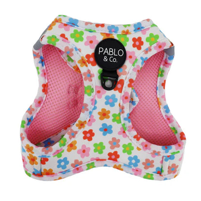 Pablo & Co. - Cat Harness - Pets Wonderland