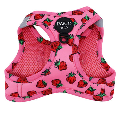 Pablo & Co. - Cat Harness - Pets Wonderland