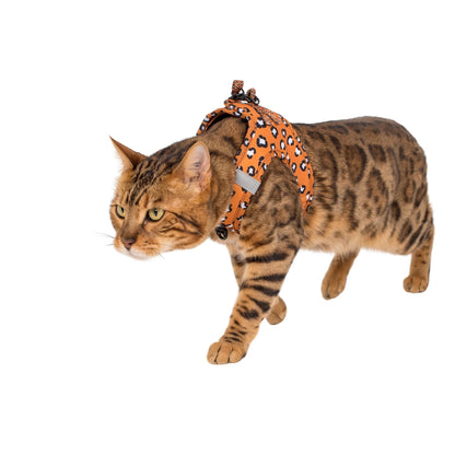 Pablo & Co. - Cat Harness - Pets Wonderland