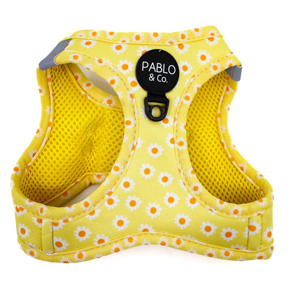 Pablo & Co. - Cat Harness - Pets Wonderland
