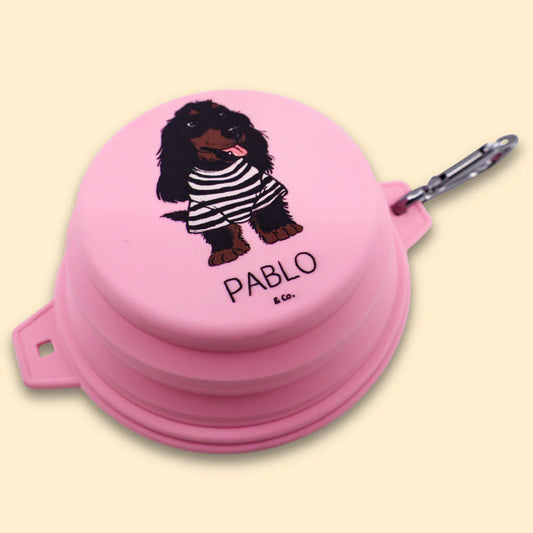 Pablo & Co. - Collapsible Dog Water/Food Bowl