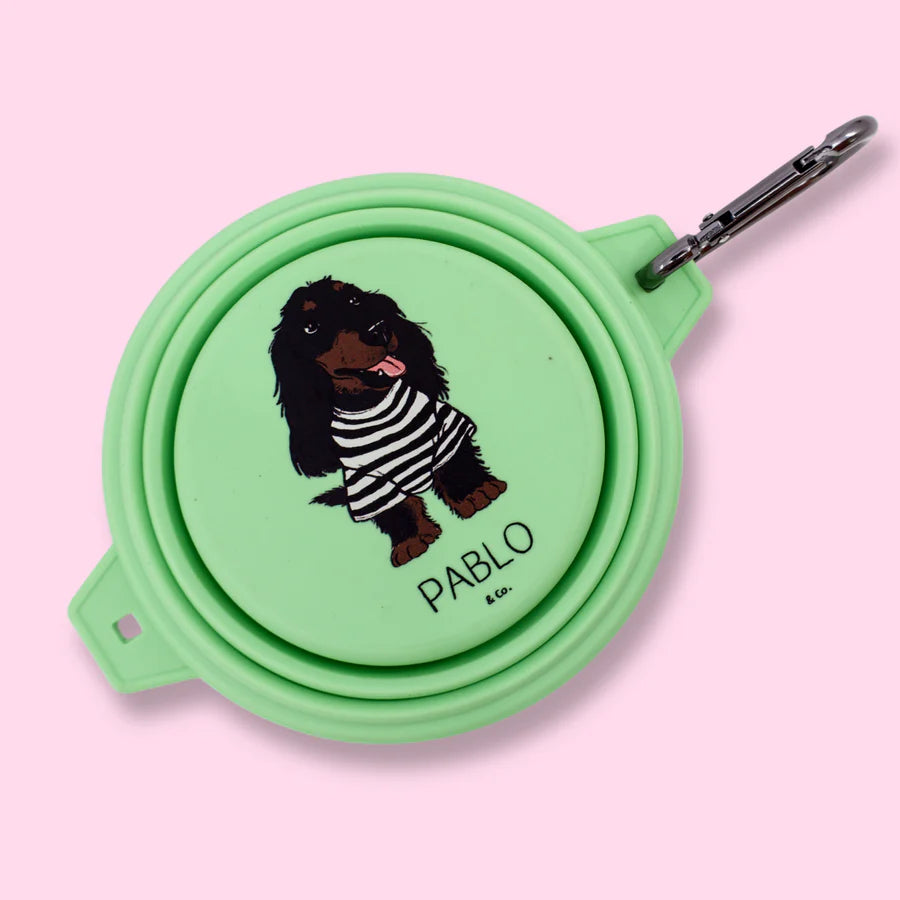 Pablo & Co. - Collapsible Dog Water/Food Bowl - Pets Wonderland
