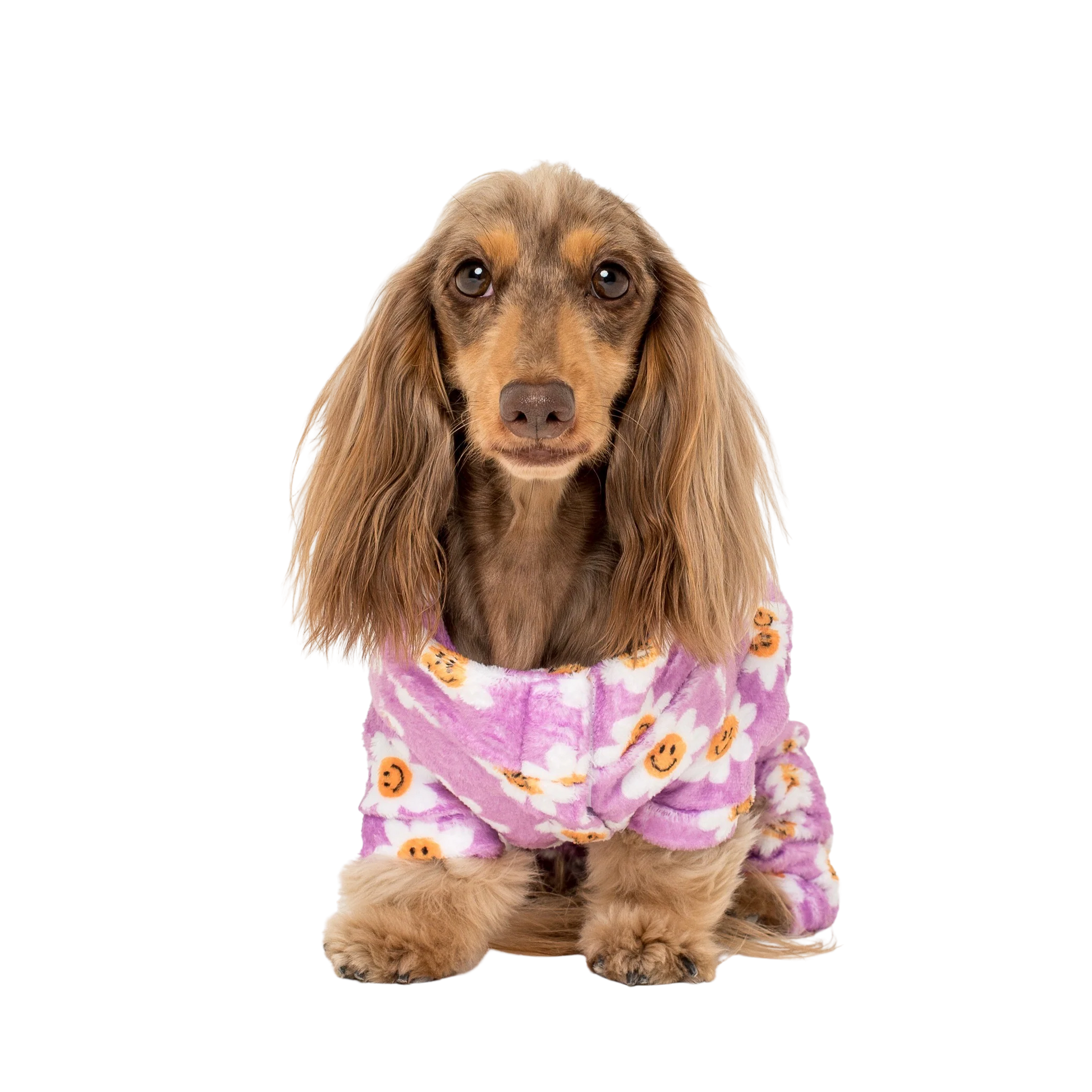 Pablo & Co. - Onesie - Pets Wonderland
