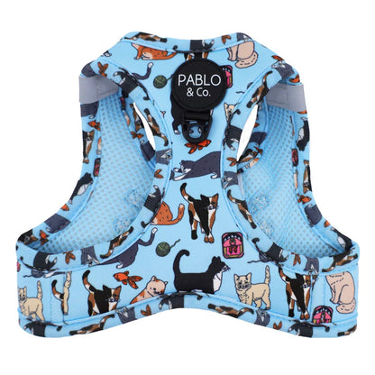 Pablo & Co. - Cat Harness - Pets Wonderland