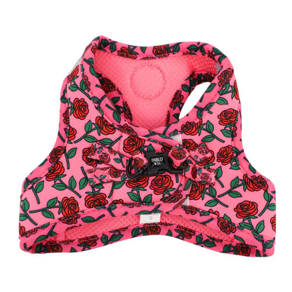 Pablo & Co. - Cat Harness - Pets Wonderland