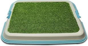 Paradiso - Pet Wee Tray - Pets Wonderland