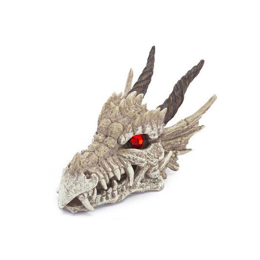 Penn Plaxx - Aquarium Ornament Dragon Skull Gazer