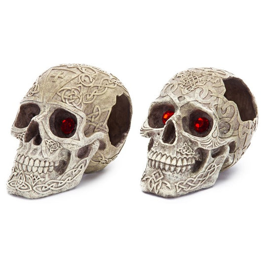 Penn Plaxx - Aquarium Ornament Skull Gazer