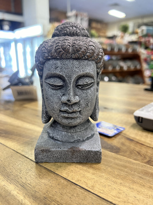 Pet Pacific - Oriental Buddha Head Large - Pets Wonderland