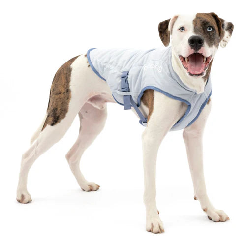 Petsafe - Core Cooling Vest - Pets Wonderland