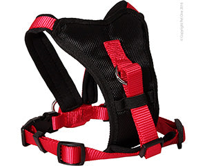 Pet One - Harness Comfy Padded Red