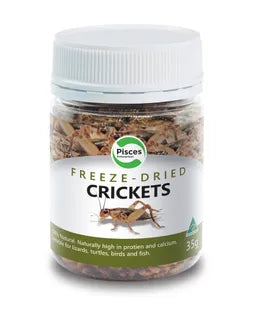 Pisces - Dried Crickets Jar 35g - Pets Wonderland