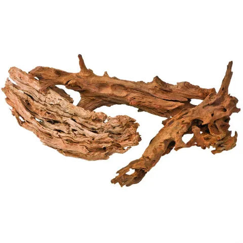Pisces - Driftwood Piece Bare - Pets Wonderland