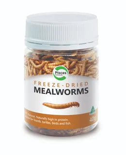 Pisces - Dried Mealworms Jar 40g - Pets Wonderland