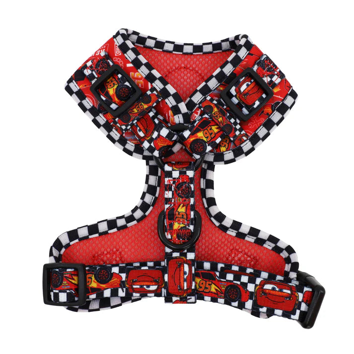 Pablo & Co - Harness "Cars" - Pets Wonderland