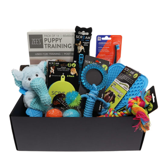 Prestige - Puppy Pack Blue - Pets Wonderland