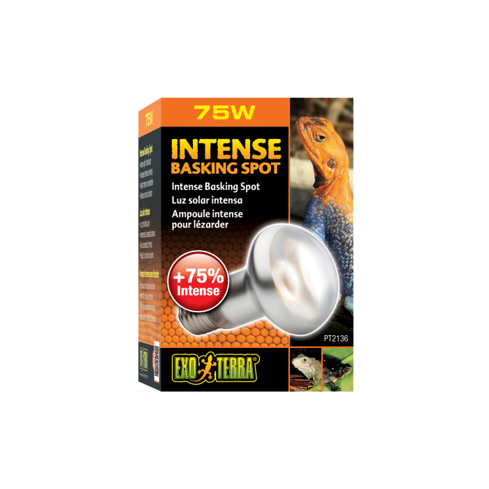 Exo Terra - Intense Basking Spot Lamp - Pets Wonderland