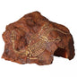 Reptile One - Ornament Fossil Plesiosaur Rock