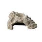 Reptile One - Reptile Cave Limestone