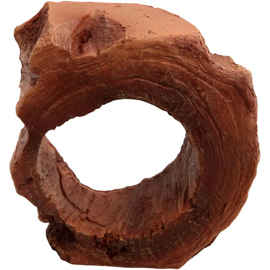 Reptile One - Ornament Wood Circle